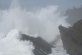 Oregon Coast 2-9-08